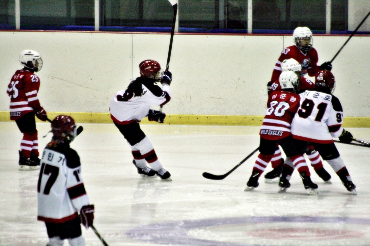 aae347f5c678eac618feb26925a1492c_1555080218_8675.JPG