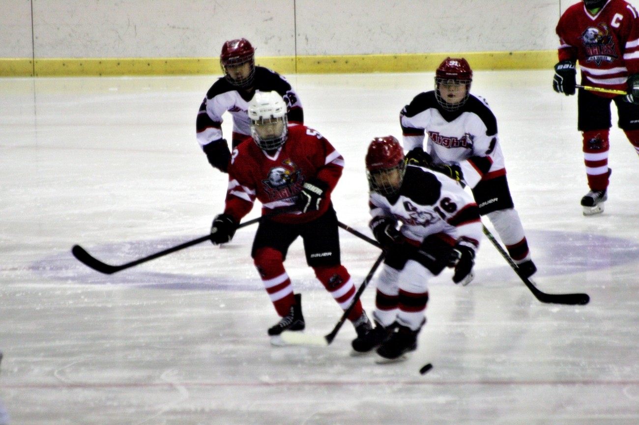 aae347f5c678eac618feb26925a1492c_1555080221_1726.JPG