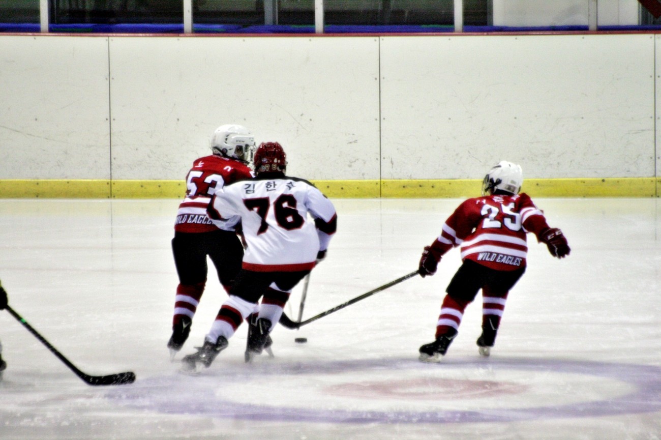 aae347f5c678eac618feb26925a1492c_1555080221_8317.JPG