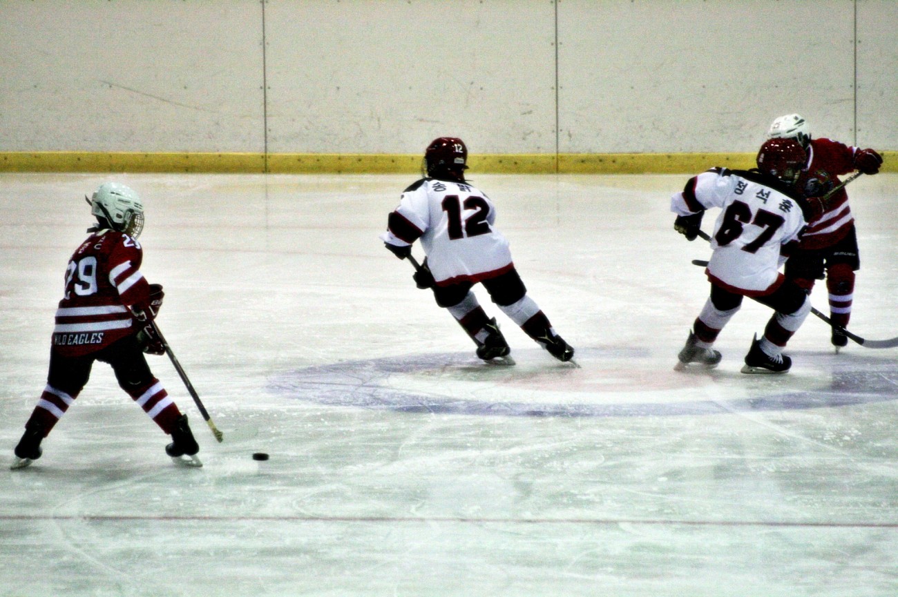 aae347f5c678eac618feb26925a1492c_1555080283_7505.JPG