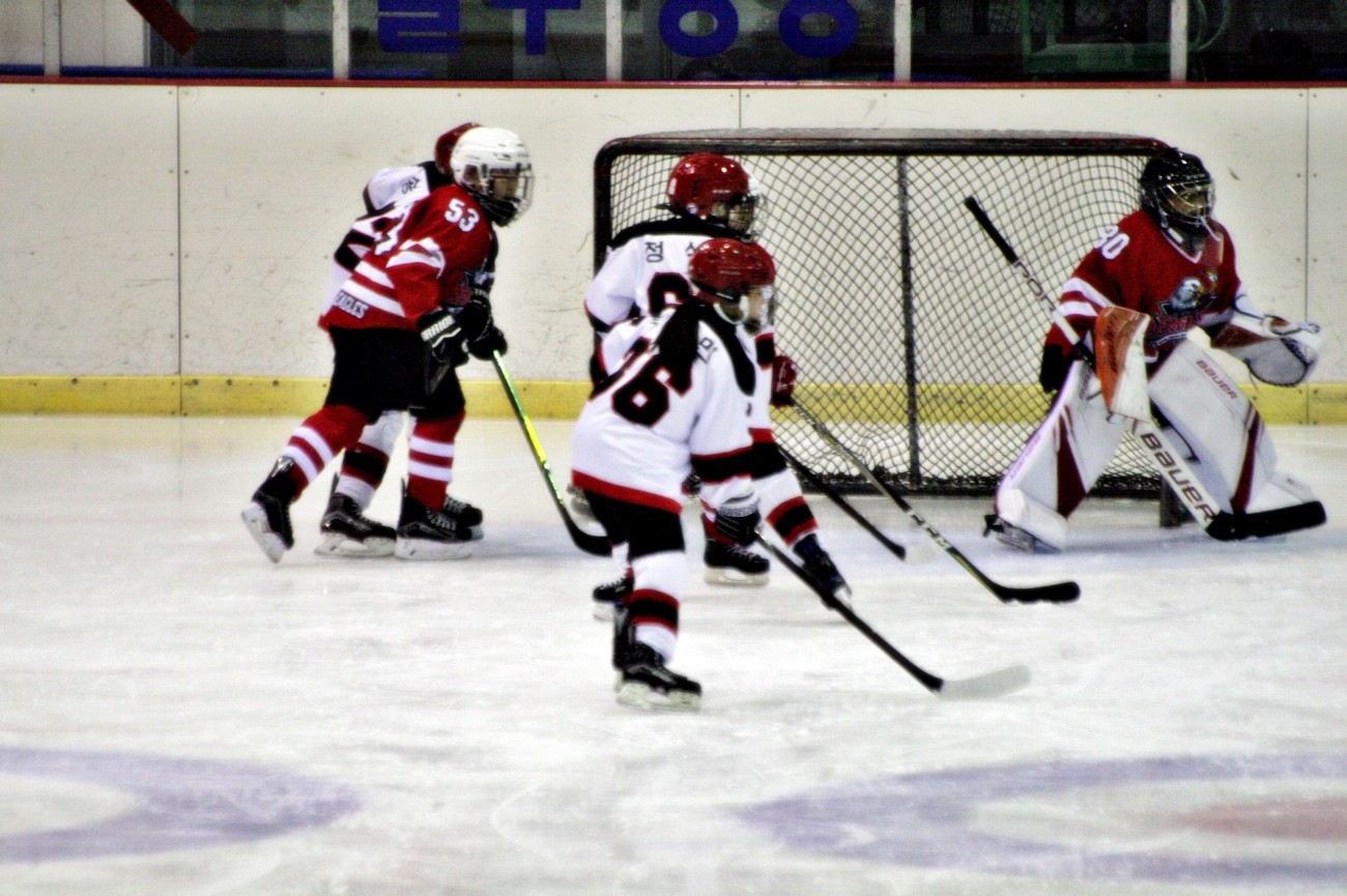 aae347f5c678eac618feb26925a1492c_1555080306_1036.JPG