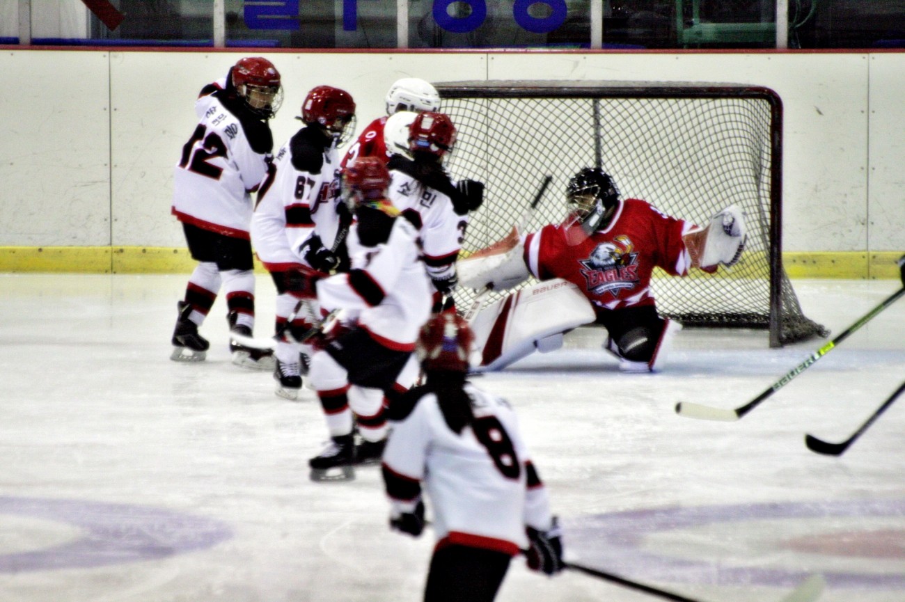 aae347f5c678eac618feb26925a1492c_1555080307_2296.JPG