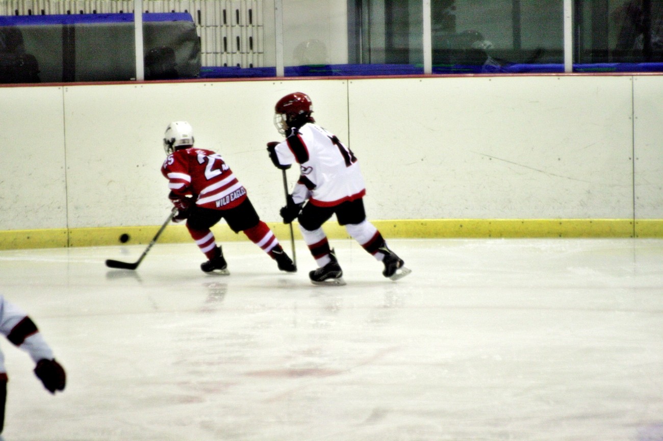 aae347f5c678eac618feb26925a1492c_1555080330_7529.JPG