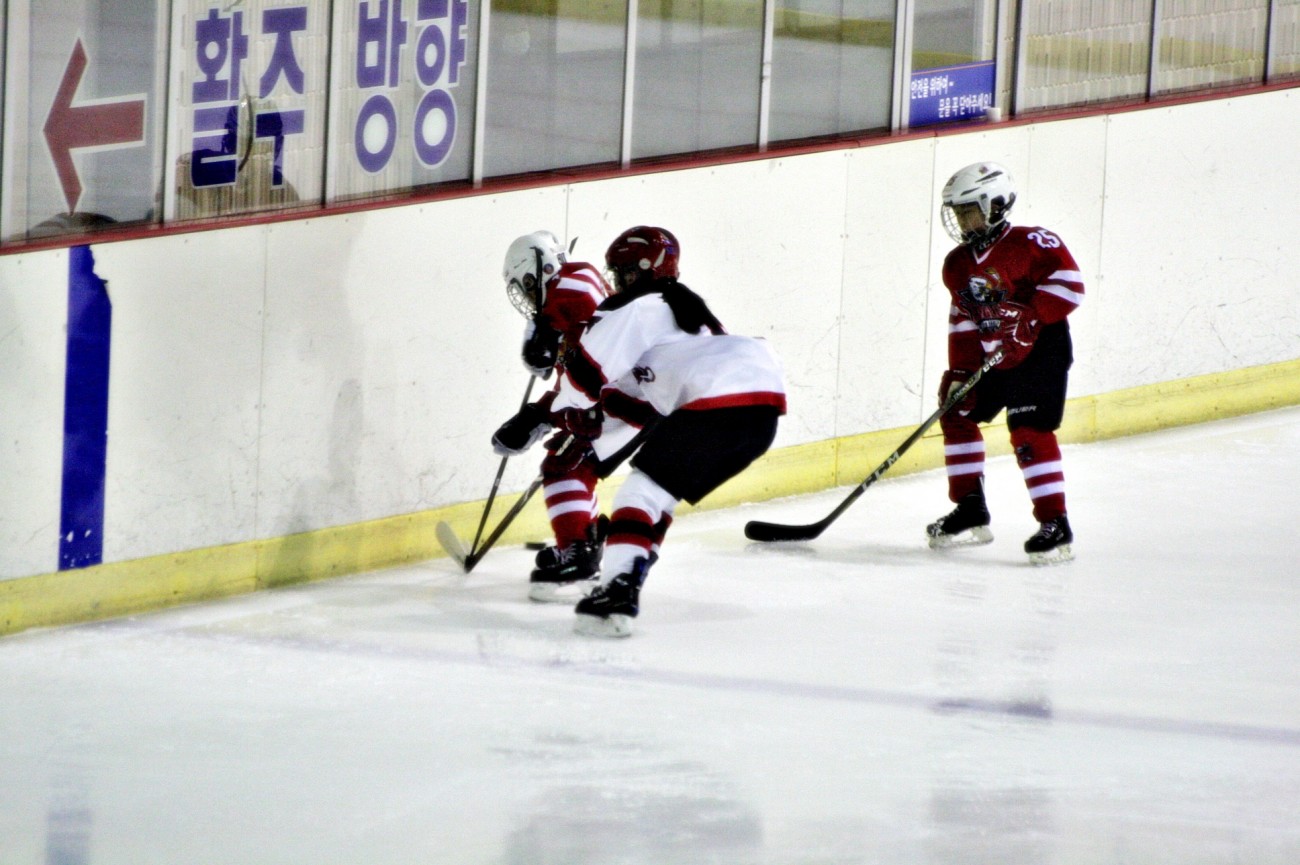 aae347f5c678eac618feb26925a1492c_1555080372_4394.JPG