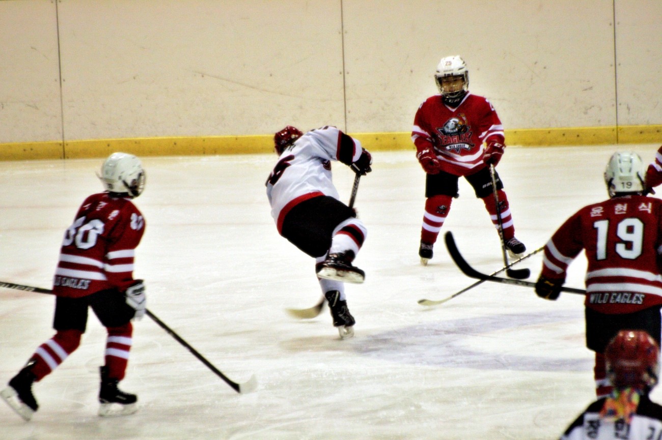 aae347f5c678eac618feb26925a1492c_1555080403_7641.JPG