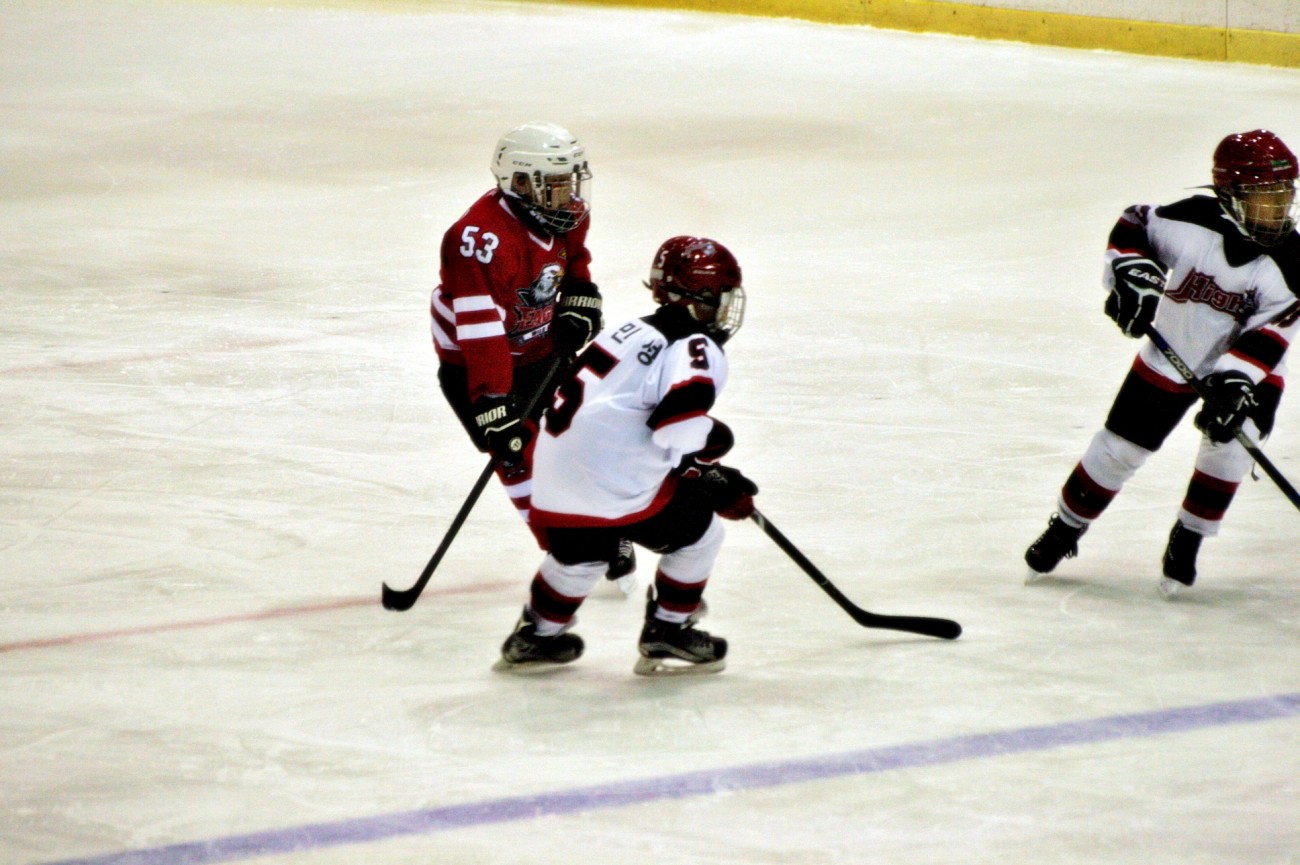 aae347f5c678eac618feb26925a1492c_1555080444_79.JPG