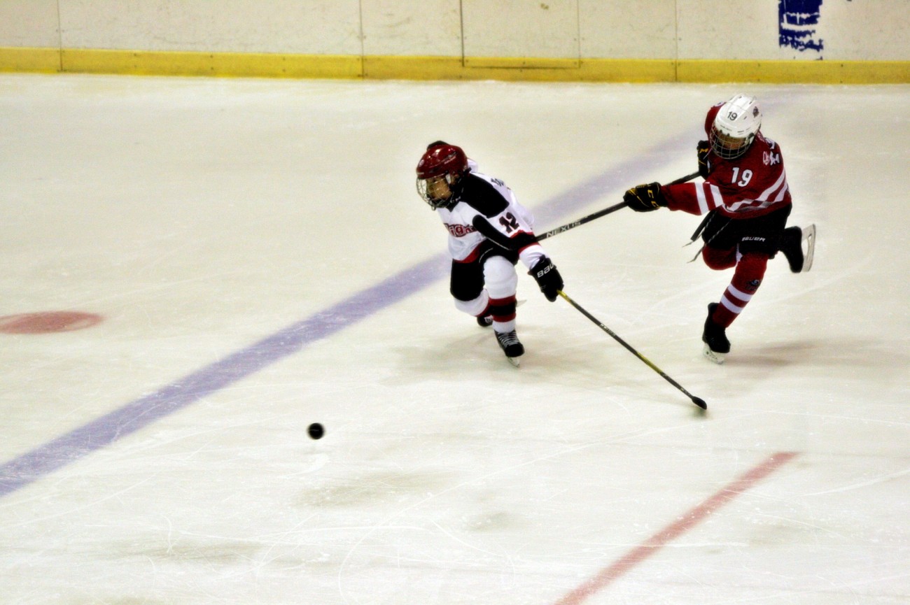 aae347f5c678eac618feb26925a1492c_1555080507_1799.JPG