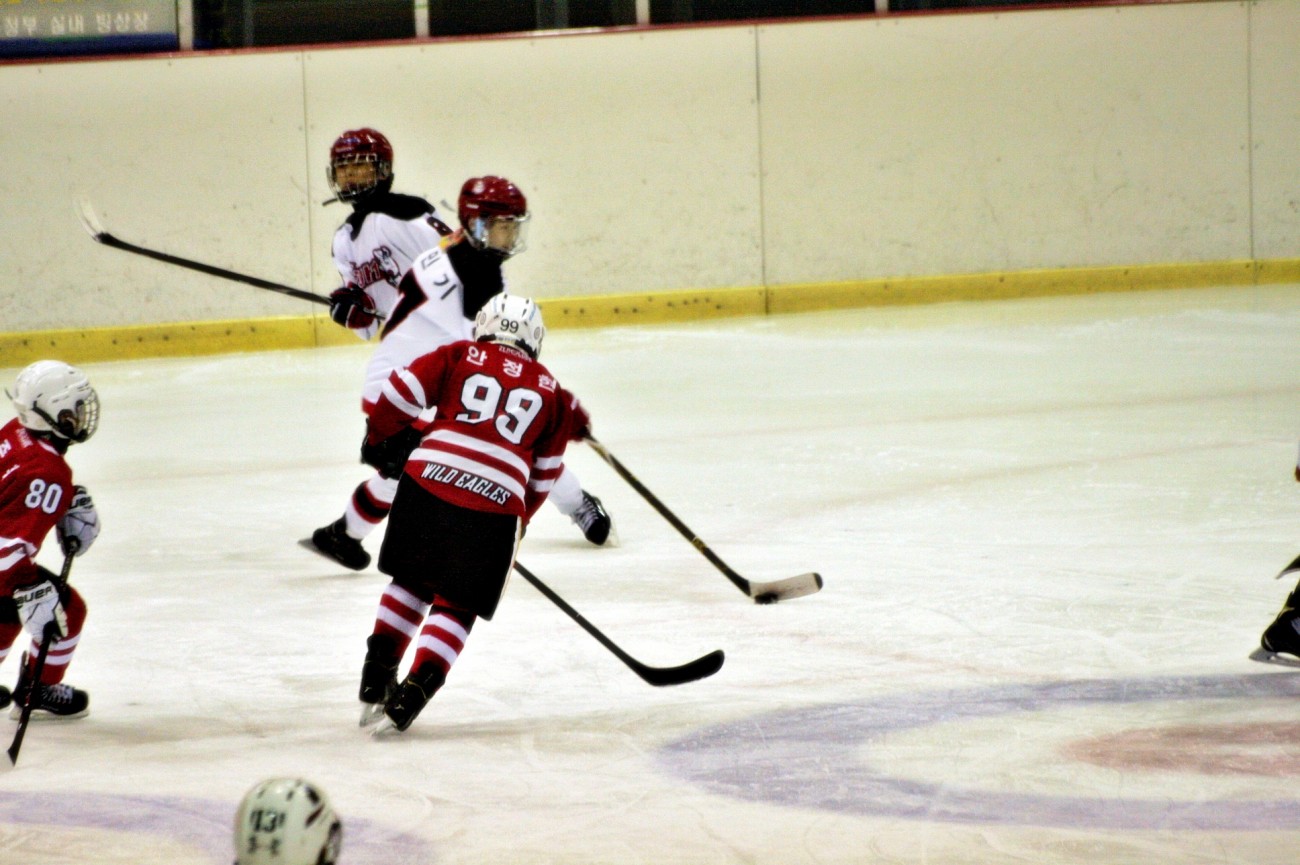 aae347f5c678eac618feb26925a1492c_1555080509_7273.JPG