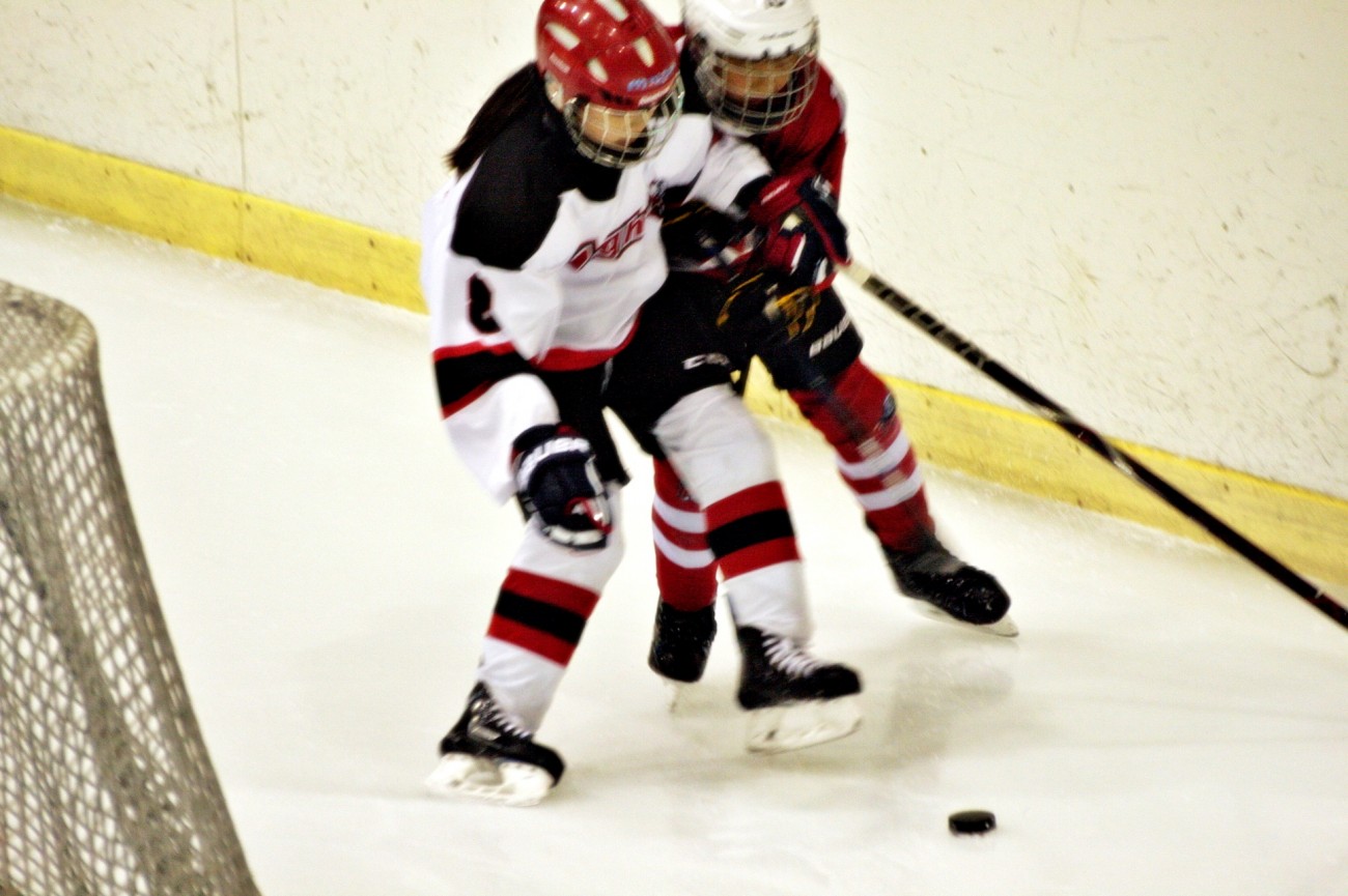 aae347f5c678eac618feb26925a1492c_1555080571_5224.JPG